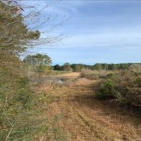 29.5 Acres in Walthall County in Tylertown  MS