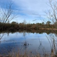 29.5 Acres in Walthall County in Tylertown  MS images 2