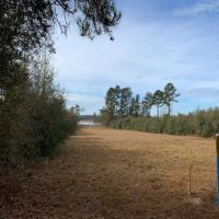 29.5 Acres in Walthall County in Tylertown  MS images 5