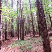 08-042-buck-hollow images 2