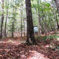 08-042-buck-hollow images 3