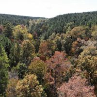 08-042-buck-hollow images 4