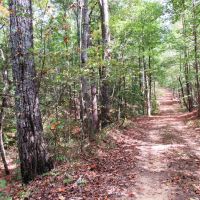 08-042-buck-hollow images 6