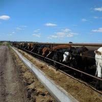 Agri Enterprise 3750-rb images 2