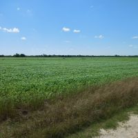 Agri Enterprise 3750-rb images 4