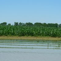 Agri Enterprise 3750-rb images 6