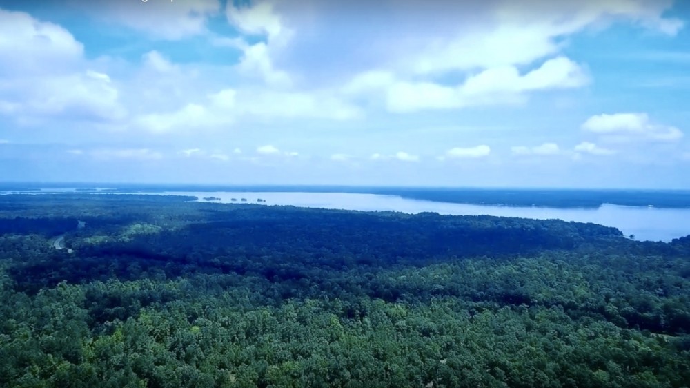 Eagle s Nest on Lake Livingston featured image