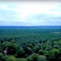 Eagle s Nest on Lake Livingston images 2