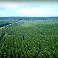 Eagle s Nest on Lake Livingston images 3