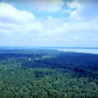 Eagle s Nest on Lake Livingston images 4