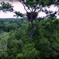 Eagle s Nest on Lake Livingston images 5