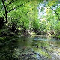 Eagle s Nest on Lake Livingston images 6