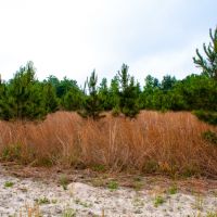 240 Primrose Ct images 3