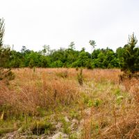 240 Primrose Ct images 4