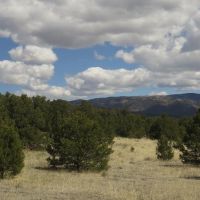 11 Milligan Ranch images 5