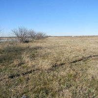 C401 images 3