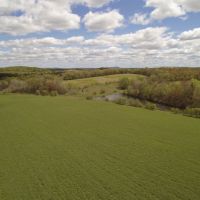 Gorgeous Secluded 40-Acre Parcel Clark County images 3