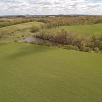 Gorgeous Secluded 40-Acre Parcel Clark County images 4