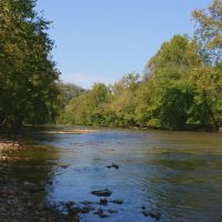 Riverfront Hunting &nbsp; Recreational Ranch For Sale in Tazewell  TN images 2