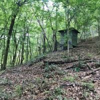 420 Acres South MS Hunting Land for Sale Franklin County  MS images 2