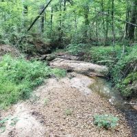 420 Acres South MS Hunting Land for Sale Franklin County  MS images 3