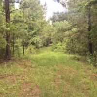 420 Acres South MS Hunting Land for Sale Franklin County  MS images 4
