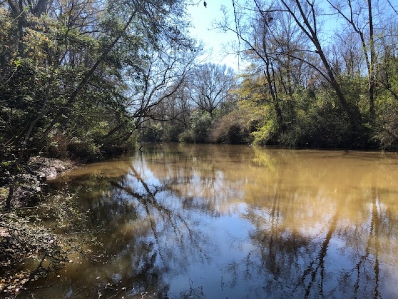 36 Acre Tangipahoa River Tract featured image