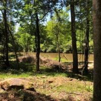 36 Acre Tangipahoa River Tract images 2