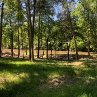 36 Acre Tangipahoa River Tract images 3