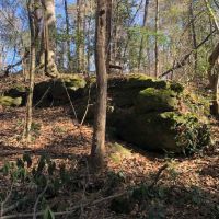 36 Acre Tangipahoa River Tract images 5