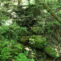 36 Acre Tangipahoa River Tract images 6