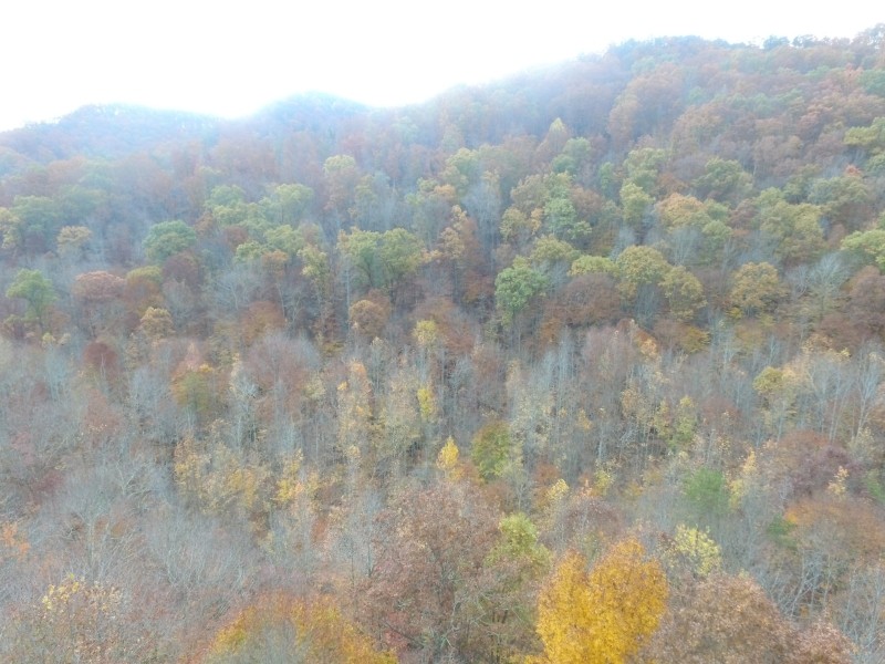 East Tennessee Mountain Property for Sale Bean Station TN featured image