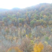 East Tennessee Mountain Property for Sale Bean Station TN