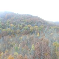 East Tennessee Mountain Property for Sale Bean Station TN images 2