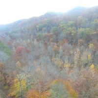East Tennessee Mountain Property for Sale Bean Station TN images 3