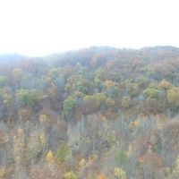 East Tennessee Mountain Property for Sale Bean Station TN images 5