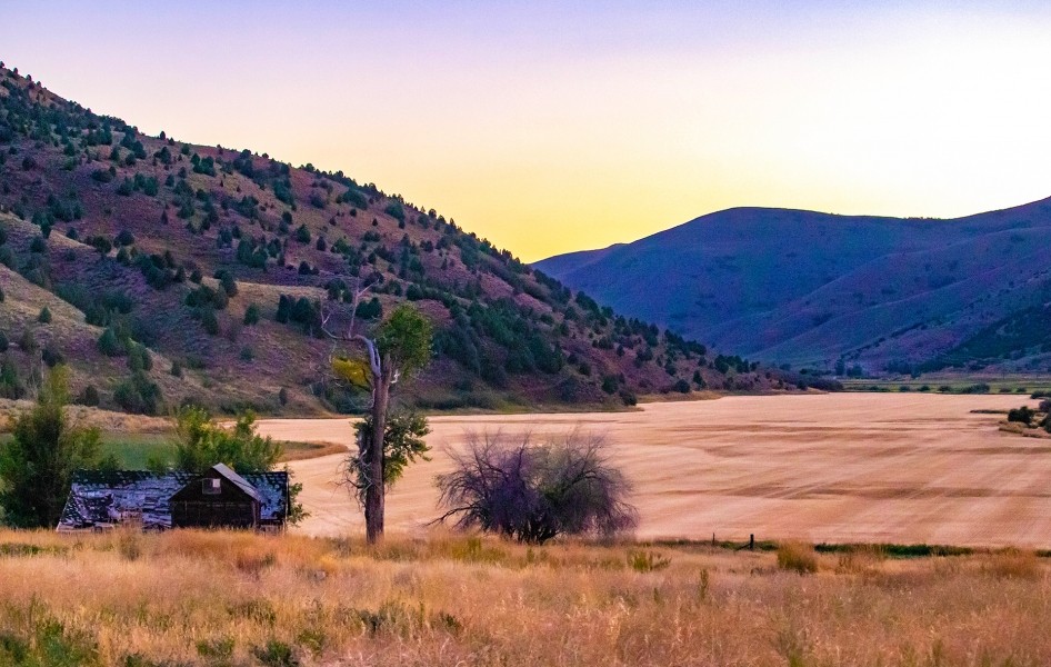 Paradise Canyon Ranch featured image