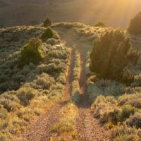 Paradise Canyon Ranch images 2