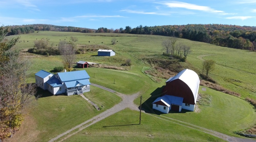155 Acres with Historic Farmhouse For Sale in Endicott NY Hunting