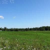 Off Grid Cabin on 84 Acres Near Glidden WI images 2