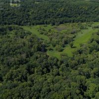 Diverse Recreational Land For Sale in Grant County  WI images 6