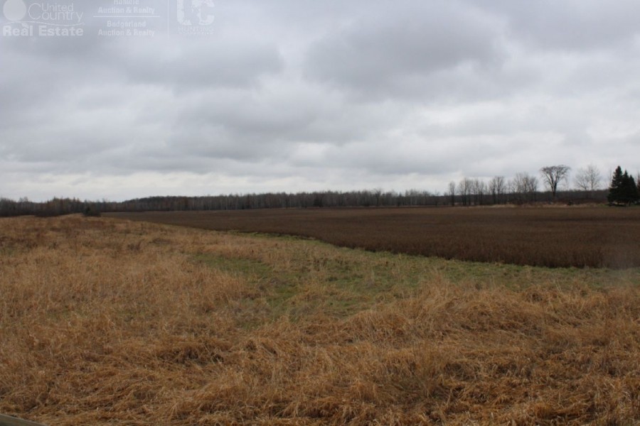 Buildable Property West of Medford  Taylor County WI featured image