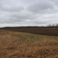 Buildable Property West of Medford  Taylor County WI