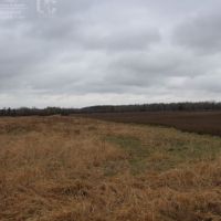 Buildable Property West of Medford  Taylor County WI images 2