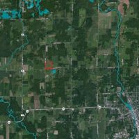 Buildable Property West of Medford  Taylor County WI images 5