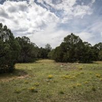 56 Blackhawk Ranch images 2