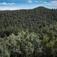 56 Blackhawk Ranch images 3