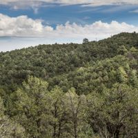 56 Blackhawk Ranch images 6