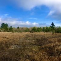 Hamilton Boulevard Tract images 2