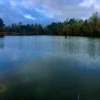 Hamilton Boulevard Tract